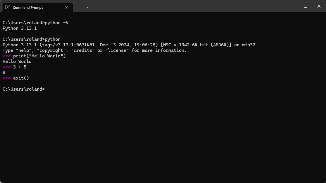 Screenshot of Python 3.13 in Windows CMD